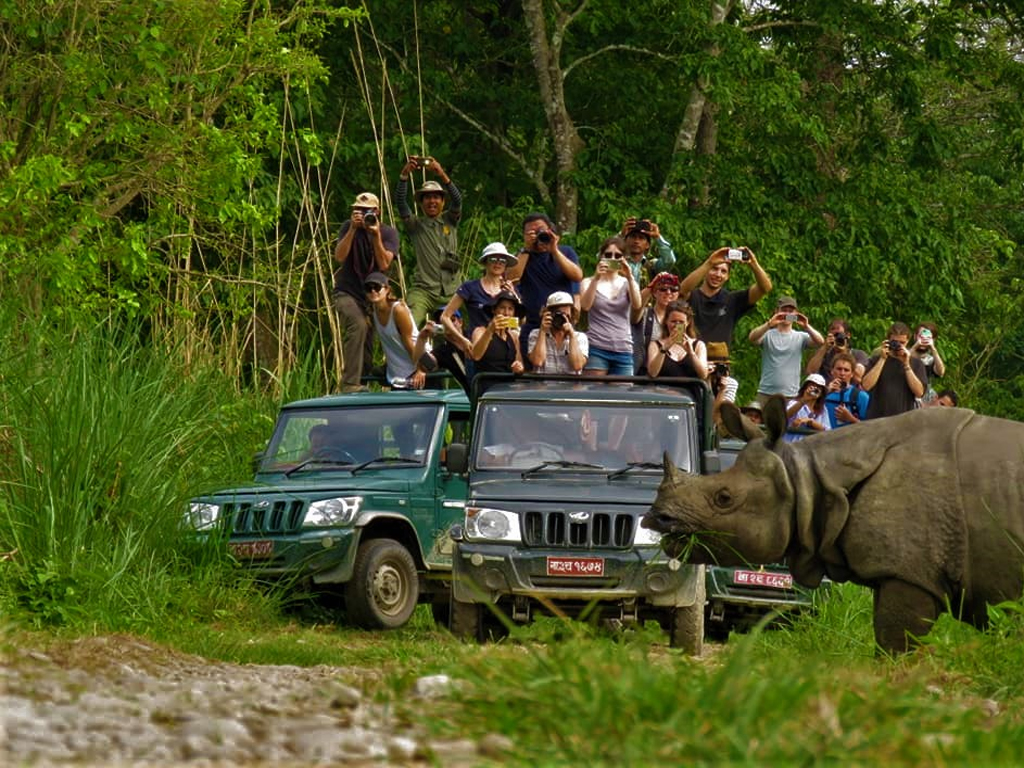 Jeep Safari